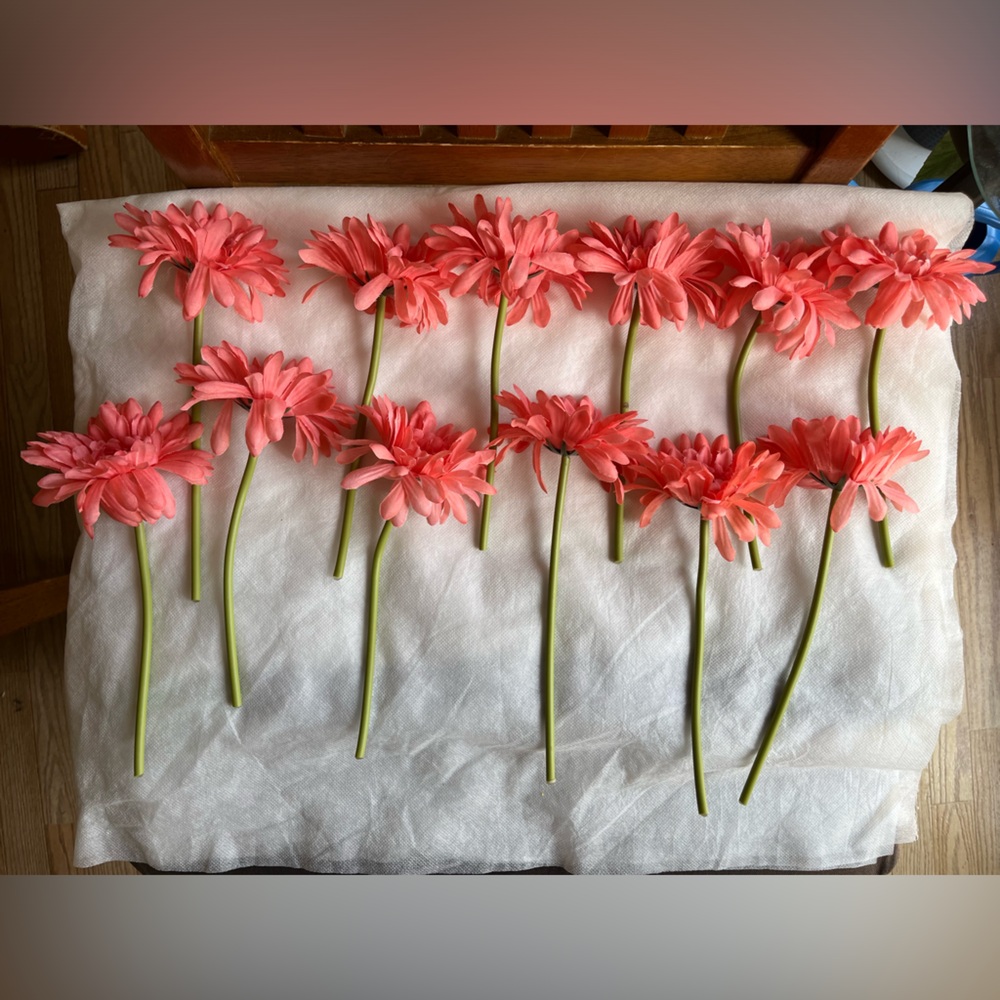 Daisy flower stems (used)